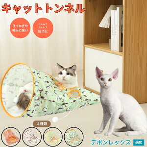 y5{|Cgzf{bNX Devon Rex Lgl Lbggl ܂肽ݎ ybggl Lp   B  ^s  XgXU RpNg[ 