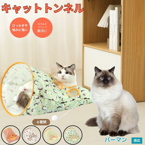 y5{|Cgzo[} Birman Lgl Lbggl ܂肽ݎ ybggl Lp   B  ^s  XgXU RpNg[ 􂦂 i