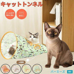 y5{|Cgzo[~[Y Burmese Lgl Lbggl ܂肽ݎ ybggl Lp   B  ^s  XgXU RpNg[ 􂦂 