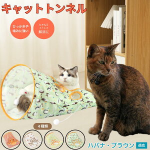 y5{|CgznoiEuE Havana Brown Lgl Lbggl ܂肽ݎ ybggl Lp   B  ^s  XgXU RpNg