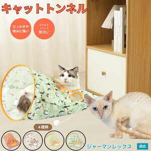 y5{|CgzW[}bNX German Rex Lgl Lbggl ܂肽ݎ ybggl Lp   B  ^s  XgXU RpNg