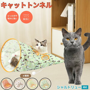 y5{|CgzVg[ Chartreux Lgl Lbggl ܂肽ݎ ybggl Lp   B  ^s  XgXU RpNg[ 