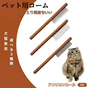 y10{|CgzAJJ[ American Curl R[ uV ybgpuV O[~OR[ g~O O[~O pR[ LpR[ XeX L ybgR