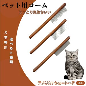 y5{|CgzAJV[gwA American Shorthair R[ uV ybgpuV O[~OR[ g~O O[~O pR[ LpR[ XeX L 