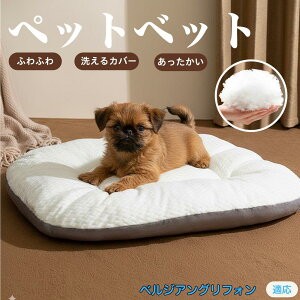 y5{|CgzxWAOtH ybgxbh ybg\t@ ybgNbV  L Ck lR xbh \t@ NbV NbV LNbV 􂦂 \ 􂦂Jo[t