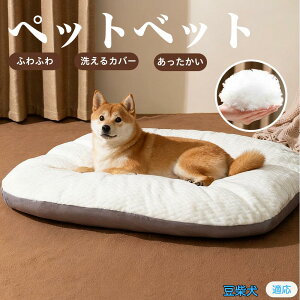 y5{|Cgz ybgxbh ybg\t@ ybgNbV  L Ck lR xbh \t@ NbV NbV LNbV 􂦂 \ 􂦂Jo[t h  ӂ