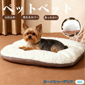 y5{|Cgz[NV[eA ybgxbh ybg\t@ ybgNbV  L Ck lR xbh \t@ NbV NbV LNbV 􂦂 \ 􂦂Jo[t