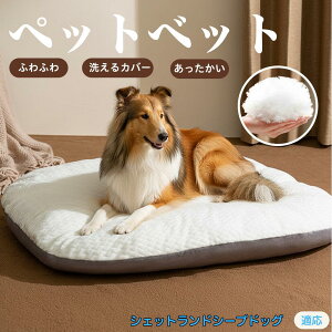 y5{|CgzVFbghV[vhbO ybgxbh ybg\t@ ybgNbV  L Ck lR xbh \t@ NbV NbV LNbV 􂦂 \ 􂦂J