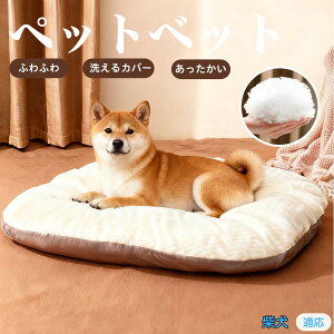 y5{|CgzČiShiba Inuj ybgxbh ybg\t@ ybgNbV  L Ck lR xbh \t@ NbV NbV LNbV 􂦂 \ 􂦂Jo[t h