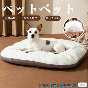 y5{|CgzWbNEbZEeA (Jack Russell Terrier) ybgxbh ybg\t@ ybgNbV  L Ck lR xbh \t@ NbV NbV LNbV 􂦂 