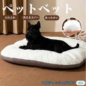 y5{|CgzXReBbVeAiScottish Terrierj ybgxbh ybg\t@ ybgNbV  L Ck lR xbh \t@ NbV NbV LNbV 􂦂 \