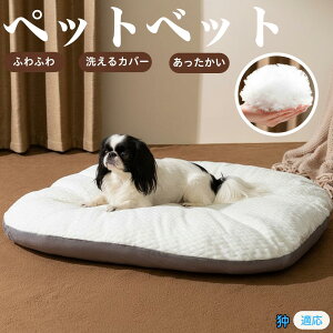 y5{|Cgz༁@` ybgxbh ybg\t@ ybgNbV  L Ck lR xbh \t@ NbV NbV LNbV 􂦂 \ 􂦂Jo[t h  