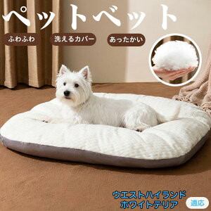 �E�G�X�g�n�C�����h�z���C�g�e���A �y�b�g�x�b�h �y�b�g�\�t�@ �y�b�g�N�b�V���� �� �L �C�k �l�R �x�b�h �\�t�@ �N�b�V���� ���N�b�V���� �L�N�b�V���� �􂦂� ����\ �􂦂�J�o�[�t�� 