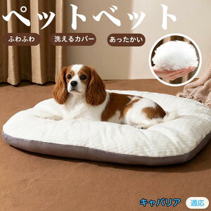 y5{|CgzLoAELOE`[YEXpjG ybgxbh ybg\t@ ybgNbV  L Ck lR xbh \t@ NbV NbV LNbV 􂦂 