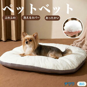 y5{|Cgz`iChihuahuaj ybgxbh ybg\t@ ybgNbV  L Ck lR xbh \t@ NbV NbV LNbV 􂦂 \ 􂦂Jo[t 