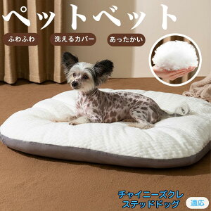 y5{|Cgz`Cj[YENXebhEhbO ybgxbh ybg\t@ ybgNbV  L Ck lR xbh \t@ NbV NbV LNbV 􂦂 \ 