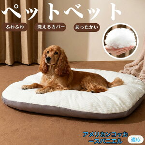 y5{|CgzAJERbJ[EXpjG ybgxbh ybg\t@ ybgNbV  L Ck lR xbh \t@ NbV NbV LNbV 􂦂 \ 