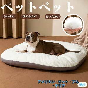 y5{|CgzAJEsbgEuEeA ybgxbh ybg\t@ ybgNbV  L Ck lR xbh \t@ NbV NbV LNbV 􂦂 \ 