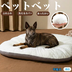 y5{|Cgzb㌢iKai Kenj ybgxbh ybg\t@ ybgNbV  L Ck lR xbh \t@ NbV NbV LNbV 􂦂 \ 􂦂Jo[t h