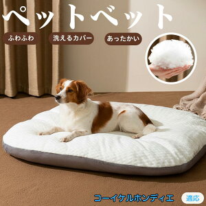 y5{|CgzR[CPzfBG ybgxbh ybg\t@ ybgNbV  L Ck lR xbh \t@ NbV NbV LNbV 􂦂 \ 􂦂Jo[t