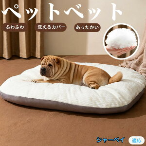 y5{|CgzV[yCiShar Peij ybgxbh ybg\t@ ybgNbV  L Ck lR xbh \t@ NbV NbV LNbV 􂦂 \ 􂦂Jo[t