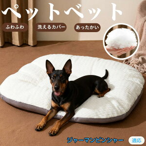 y5{|CgzW[}EsV[ ybgxbh ybg\t@ ybgNbV  L Ck lR xbh \t@ NbV NbV LNbV 􂦂 \ 􂦂Jo[