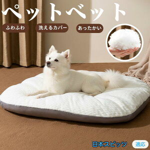 y5{|Cgz{XsbciJapanese Spitzj ybgxbh ybg\t@ ybgNbV  L Ck lR xbh \t@ NbV NbV LNbV 􂦂 \ 􂦂J