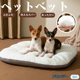 「最大15%オフクーポン」 バセンジー（Basenji） ペットベッド ペットソファ ペットクッション 犬 猫 イヌ ネコ ベッド ソファ クッション 犬クッション 猫クッション 洗える 洗濯可能 洗えるカバー付き 防水 清潔 ふわふわ 大きい オールシーズン