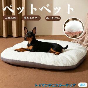 y5{|CgzgC}`FX^[eA ybgxbh ybg\t@ ybgNbV  L Ck lR xbh \t@ NbV NbV LNbV 􂦂 \ 􂦂Jo