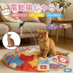y10{|CgzArVjA Abyssinian d  L炵  lV USB[d 3[h Ht mߋ p É݌v _] ^C}[ Ή ԈS ^s