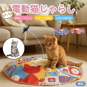 AJV[gwA American Shorthair d  L炵  lV USB[d 3[h Ht mߋ p É݌v _] ^C}[ Ή ԈS ^s