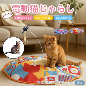 AJC[wA American Wirehair d  L炵  lV USB[d 3[h Ht mߋ p É݌v _] ^C}[ Ή ԈS ^s