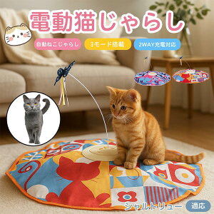 Vg[ Chartreux d  L炵  lV USB[d 3[h Ht mߋ p É݌v _] ^C}[ Ή ԈS ^s XgX