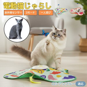 VAu[ VA Russian Blue L  d  L炵 lV ߋ Ht [d 3[h mߋ ԊOm ybgΉ XgX {\h ^s
