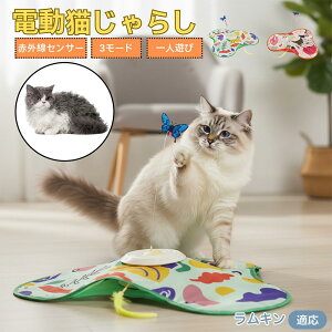 L Lambkin L  d  L炵 lV ߋ Ht [d 3[h mߋ ԊOm ybgΉ XgX {\h ^s ԈS 