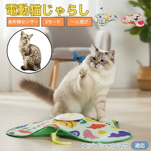 y5{|CgzGWvV}E Egyptian Mau L  d  L炵 lV ߋ Ht [d 3[h mߋ ԊOm ybgΉ XgX {\h ^