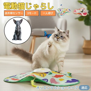 y10{|CgzIG^V[gwA Oriental Shorthair L  d  L炵 lV ߋ Ht [d 3[h mߋ ԊOm ybgΉ XgX 