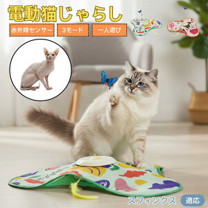 XtBNX Sphynx L  d  L炵 lV ߋ Ht [d 3[h mߋ ԊOm ybgΉ XgX {\h ^s ԈS 