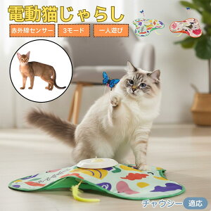 y10{|Cgz`EV[ Chausie L  d  L炵 lV ߋ Ht [d 3[h mߋ ԊOm ybgΉ XgX {\h ^s
