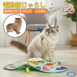 y5{|CgzXN[J Skookum L  d  L炵 lV ߋ Ht [d 3[h mߋ ԊOm ybgΉ XgX {\h ^s