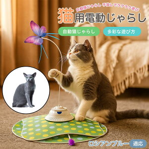 y5{|CgzVAu[ VA Russian Blue  L炵 [d 3[h Ht mߋ ԊOm p É݌v lV Ή ԈS XgX {\