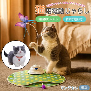 �u�ő�15%�I�t�N�[�|���v �}���`�J�� Munchkin ���� �L����炵 �[�d�� 3���[�h �H�t�� �m��ߋ� �ԊO�����m �����p �É��݌v ��l�V�� ���������Ή� ����Ԉ��S �X�g���X���� ��{�\�h�� �^