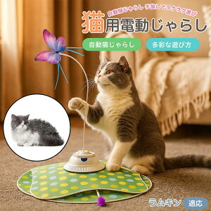 y5{|CgzL Lambkin  L炵 [d 3[h Ht mߋ ԊOm p É݌v lV Ή ԈS XgX {\h ^s 