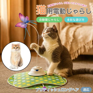 y5{|CgzueBbVOwA British Longhair  L炵 [d 3[h Ht mߋ ԊOm p É݌v lV Ή ԈS XgX 