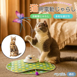 y5{|CgzxK  L炵 [d 3[h Ht mߋ ԊOm p É݌v lV Ή ԈS XgX {\h ^s S