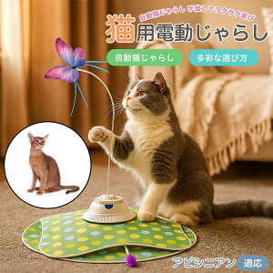 y5{|CgzArVjA Abyssinian  L炵 [d 3[h Ht mߋ ԊOm p É݌v lV Ή ԈS XgX {\h ^s