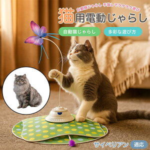 y5{|CgzTCxA Siberian  L炵 [d 3[h Ht mߋ ԊOm p É݌v lV Ή ԈS XgX {\h ^s