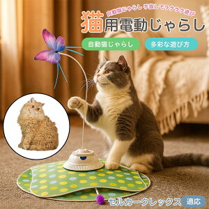 y5{|CgzZJ[NbNX Selkirk Rex  L炵 [d 3[h Ht mߋ ԊOm p É݌v lV Ή ԈS XgX {\h 