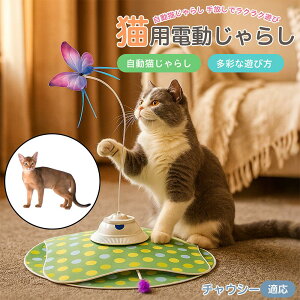 y5{|Cgz`EV[ Chausie  L炵 [d 3[h Ht mߋ ԊOm p É݌v lV Ή ԈS XgX {\h ^s