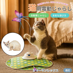 y5{|CgzW[}bNX German Rex  L炵 [d 3[h Ht mߋ ԊOm p É݌v lV Ή ԈS XgX {\h ^